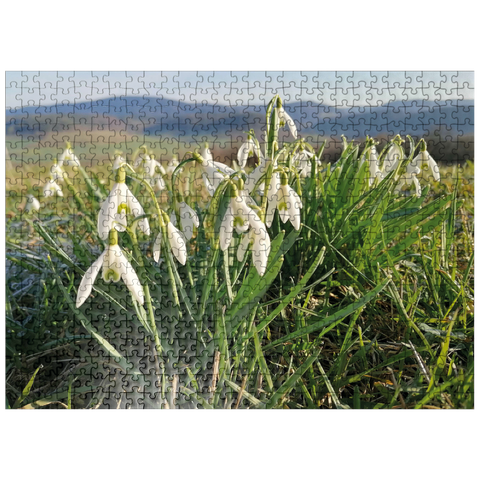 puzzleplate Flower Garden - Snowdrops 500 Jigsaw Puzzle