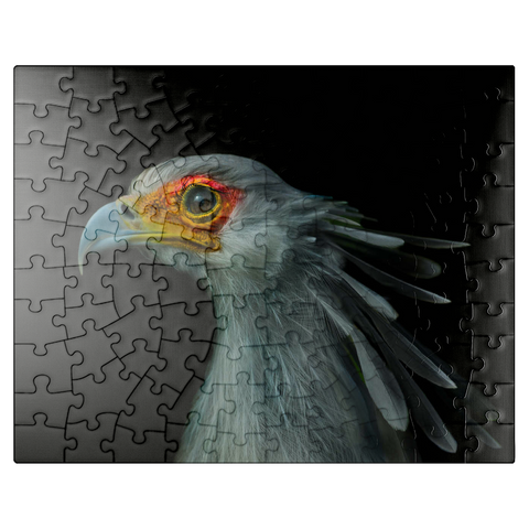 puzzleplate Secretary Bird 100 Jigsaw Puzzle