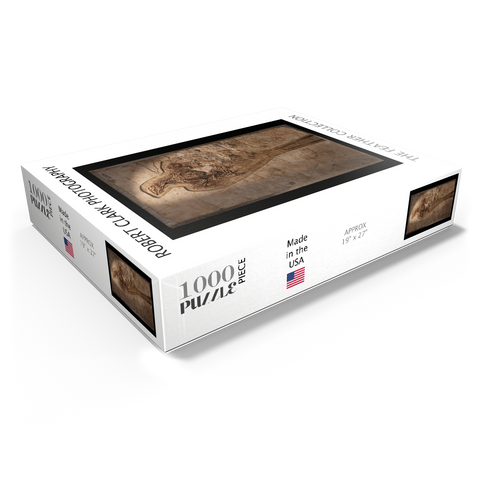 Confuciusorinis 1000 Jigsaw Puzzle box view1