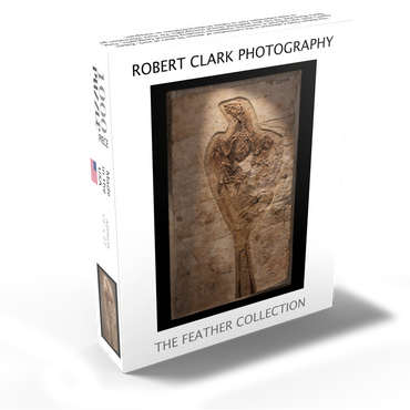 Confuciusorinis 1000 Jigsaw Puzzle box view1