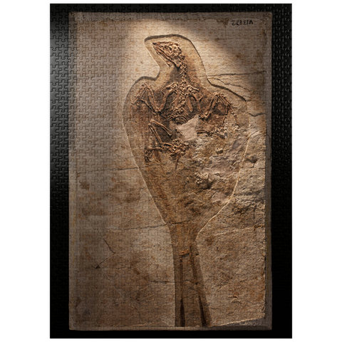 puzzleplate Confuciusorinis 1000 Jigsaw Puzzle