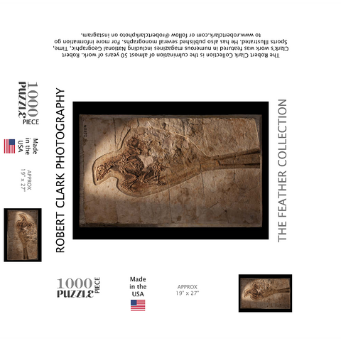 Confuciusorinis 1000 Jigsaw Puzzle box 3D Modell