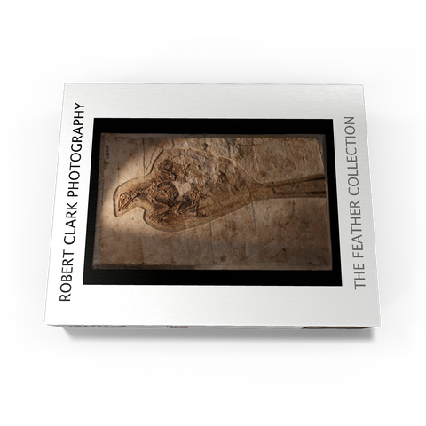 Confuciusorinis 100 Jigsaw Puzzle box view1