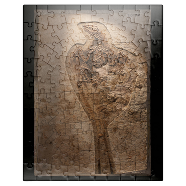 puzzleplate Confuciusorinis 100 Jigsaw Puzzle