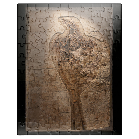 puzzleplate Confuciusorinis 100 Jigsaw Puzzle