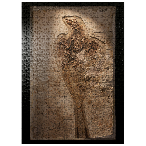 puzzleplate Confuciusorinis 500 Jigsaw Puzzle