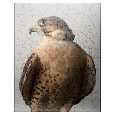 puzzleplate Saker Falcon 100 Jigsaw Puzzle