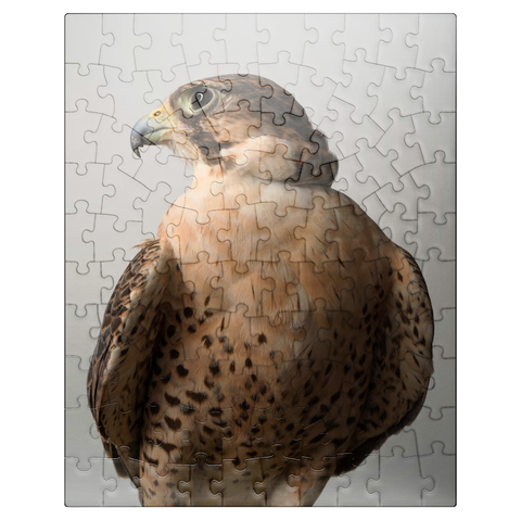 puzzleplate Saker Falcon 100 Jigsaw Puzzle