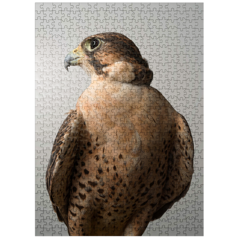 puzzleplate Saker Falcon 500 Jigsaw Puzzle