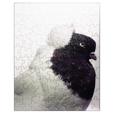 puzzleplate Well Pigeon 100 Jigsaw Puzzle