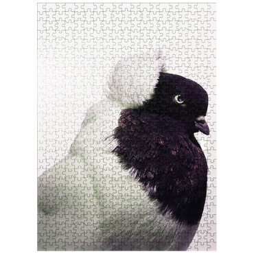 puzzleplate Well Pigeon 500 Jigsaw Puzzle