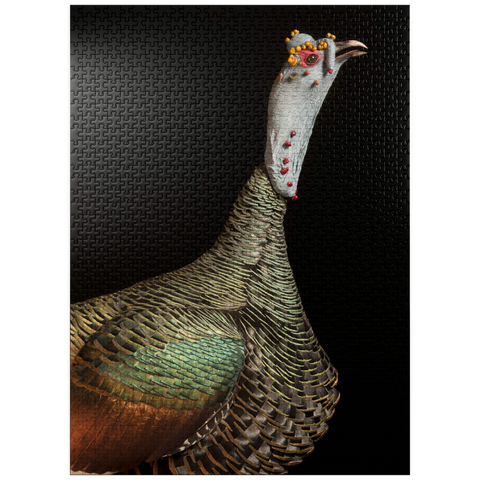 puzzleplate Ocellated Turkey 1000 Jigsaw Puzzle