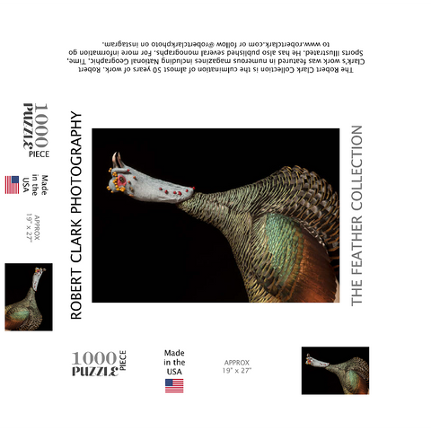 Ocellated Turkey 1000 Jigsaw Puzzle box 3D Modell