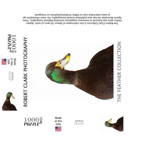 Cayuga Duck 1000 Jigsaw Puzzle box 3D Modell