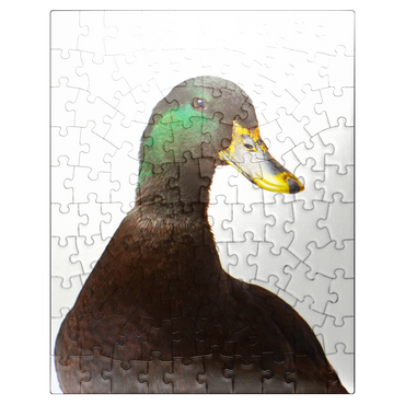 puzzleplate Cayuga Duck 100 Jigsaw Puzzle