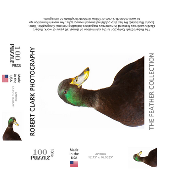 Cayuga Duck 100 Jigsaw Puzzle box 3D Modell