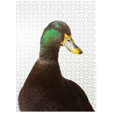 puzzleplate Cayuga Duck 500 Jigsaw Puzzle