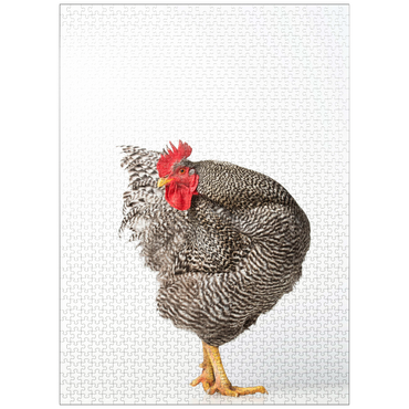 puzzleplate Barred Rock Chicken 1000 Jigsaw Puzzle