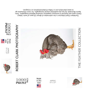 Barred Rock Chicken 1000 Jigsaw Puzzle box 3D Modell