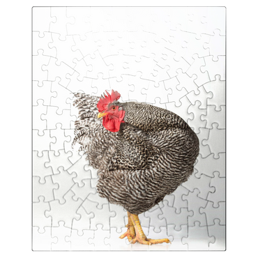puzzleplate Barred Rock Chicken 100 Jigsaw Puzzle