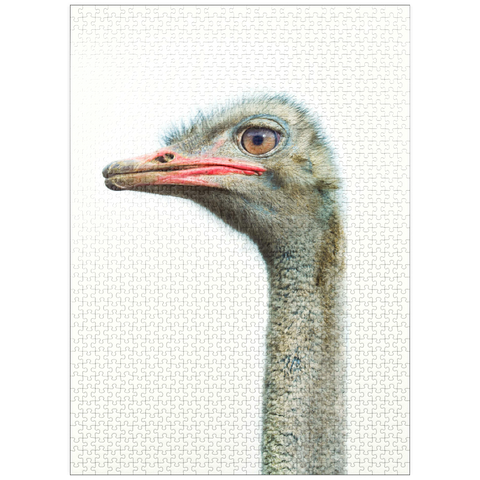 puzzleplate Ostrich Head 1000 Jigsaw Puzzle