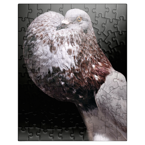 puzzleplate Domestic Pigeon 100 Jigsaw Puzzle