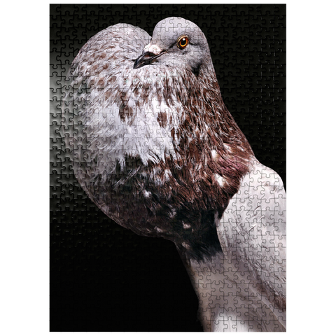 puzzleplate Domestic Pigeon 500 Jigsaw Puzzle