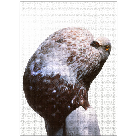 puzzleplate English Pouter (Puffer Pigeon) 1000 Jigsaw Puzzle