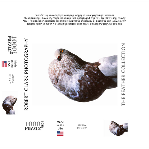English Pouter (Puffer Pigeon) 1000 Jigsaw Puzzle box 3D Modell