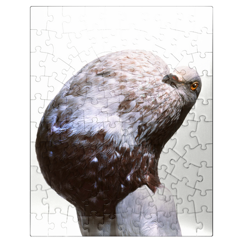 puzzleplate English Pouter (Puffer Pigeon) 100 Jigsaw Puzzle