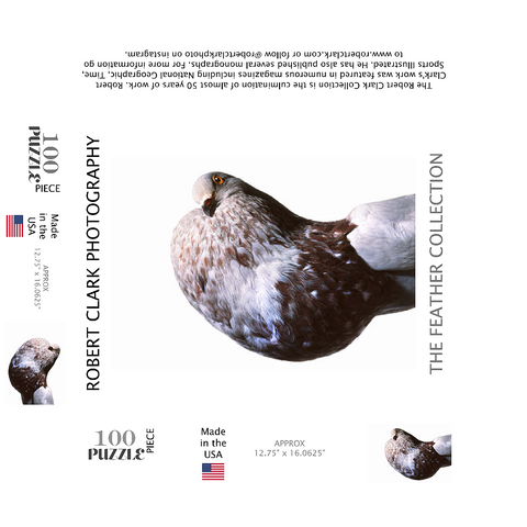 English Pouter (Puffer Pigeon) 100 Jigsaw Puzzle box 3D Modell