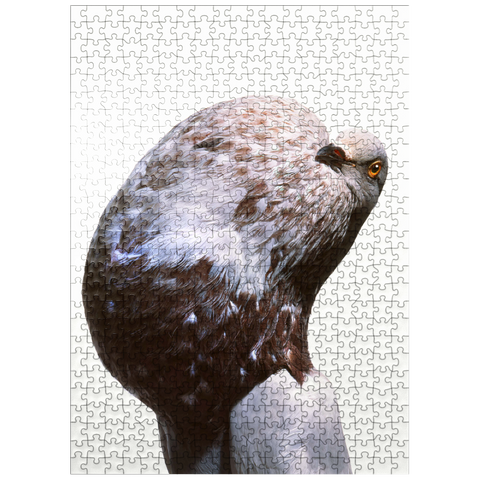 puzzleplate English Pouter (Puffer Pigeon) 500 Jigsaw Puzzle