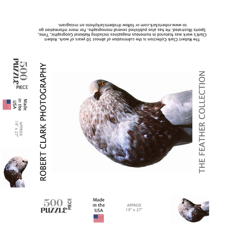 English Pouter (Puffer Pigeon) 500 Jigsaw Puzzle box 3D Modell