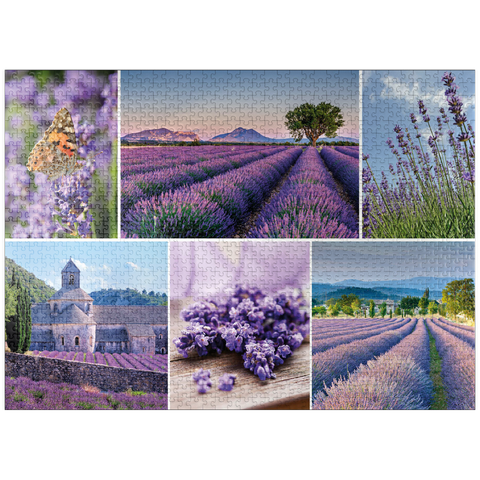 puzzleplate Lavender fields in Provence near Valensole 1000 Jigsaw Puzzle