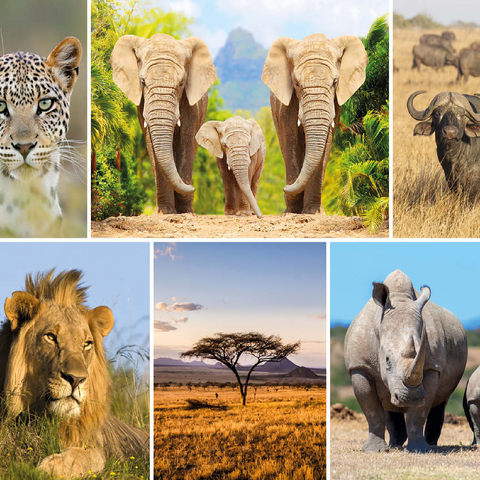 Africa Safari - Lion, Elephant, Leopard, Rhino, Buffalo 100 Jigsaw Puzzle 3D Modell