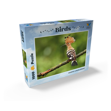 Hoopoe - Bird of the Year 2022 1000 Jigsaw Puzzle box view1