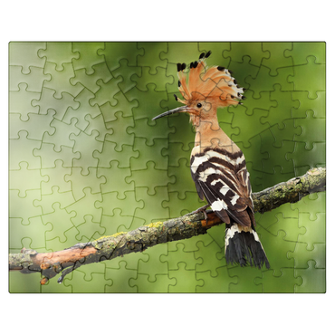 puzzleplate Hoopoe - Bird of the Year 2022 100 Jigsaw Puzzle