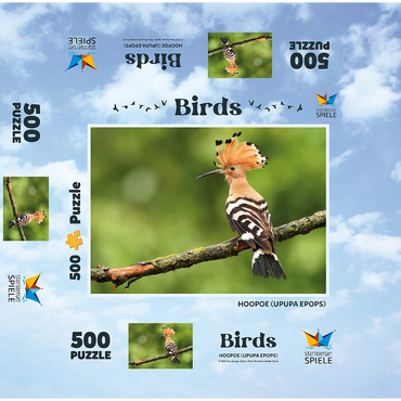 Hoopoe - Bird of the Year 2022 500 Jigsaw Puzzle box 3D Modell