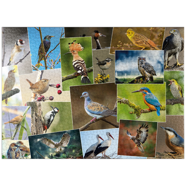 puzzleplate Birds of the Year - Collage No.1 - Germany 1000 Jigsaw Puzzle