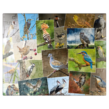 puzzleplate Birds of the Year - Collage No.1 - Germany 100 Jigsaw Puzzle
