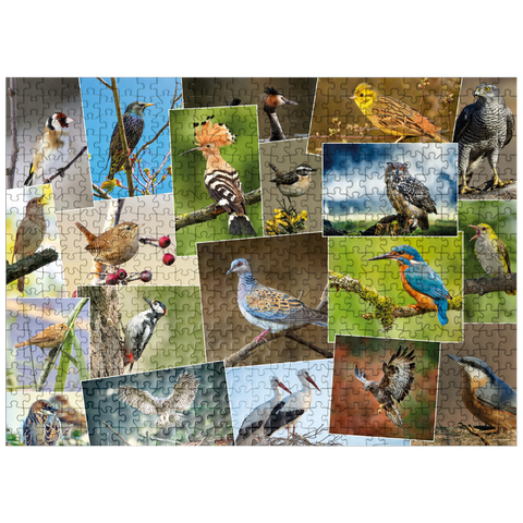 puzzleplate Birds of the Year - Collage No.1 - Germany 500 Jigsaw Puzzle