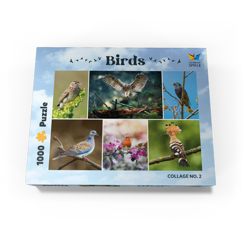 Birds of the Year - Collage No.2 - Deutschalnd 1000 Jigsaw Puzzle box view1