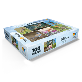 100