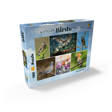Birds of the Year - Collage No.2 - Deutschalnd 100 Jigsaw Puzzle box view1