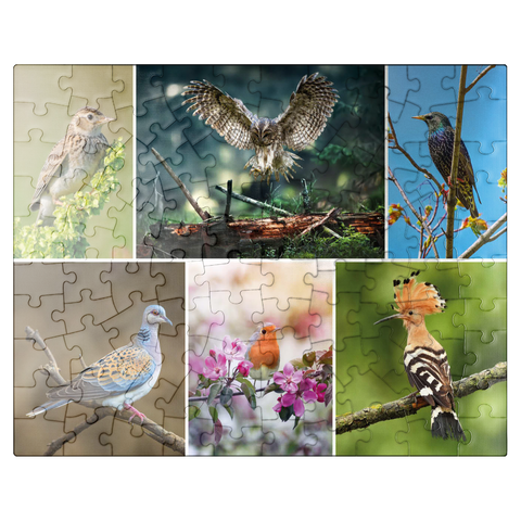 puzzleplate Birds of the Year - Collage No.2 - Deutschalnd 100 Jigsaw Puzzle