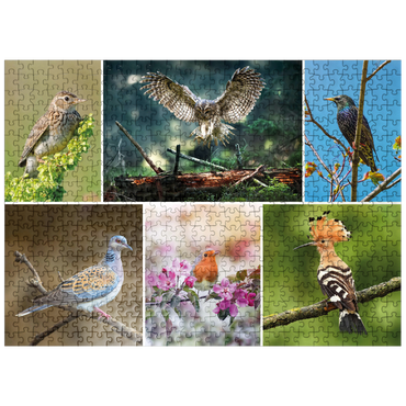 puzzleplate Birds of the Year - Collage No.2 - Deutschalnd 500 Jigsaw Puzzle
