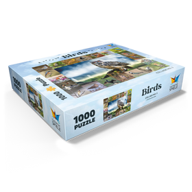 1000