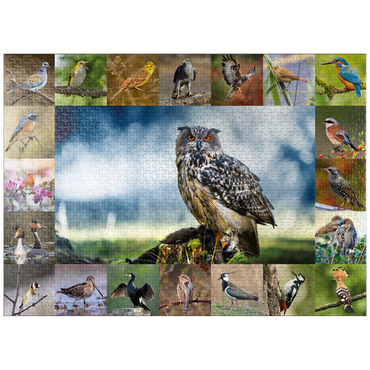 puzzleplate Birds of the year - Collage No.3 - Main subject: Eagle owl 1000 Jigsaw Puzzle