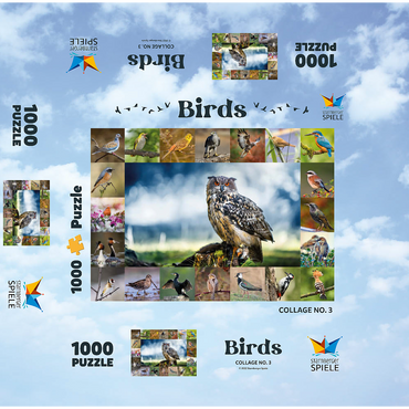 Birds of the year - Collage No.3 - Main subject: Eagle owl 1000 Jigsaw Puzzle box 3D Modell