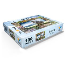 100
